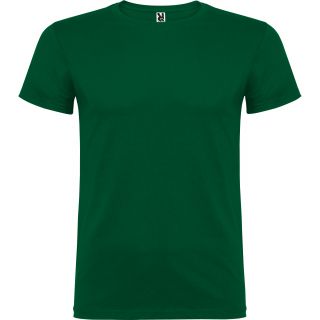 BEAGLE VERT BOUTEILLE