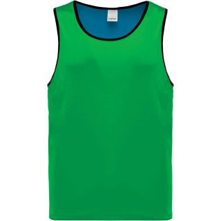 Chasuble de rugby réversible PA044 - Sporty Royal Blue / Green