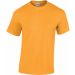 T-shirt homme col rond premium GI4100 - Gold