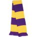 Écharpe bicolore "Team" R146X - Purple / Yellow