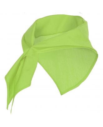 Bandana JARANERO vert mantis